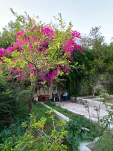 180 sqm House - Saronida whatsapp image 2025 12 24 at 11.18.54 (3)